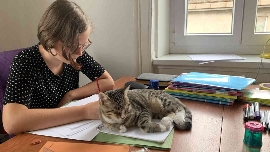 Lorea Schaffar wird zu Hause unterrichtet - die vier Katzen der Familie sind beim Lernen mit dabei. Foto: BR | Vera Gasber