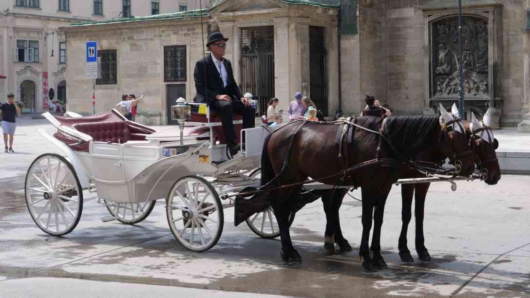 Hochsaison für Fiakerfahrten ist zwar im Sommer und zur Weihnachtszeit – aber auch im Herbst will der eine oder andere Wienbesucher die Stadt nach alter Tradition erkunden.Foto: BR | Vera Gasber