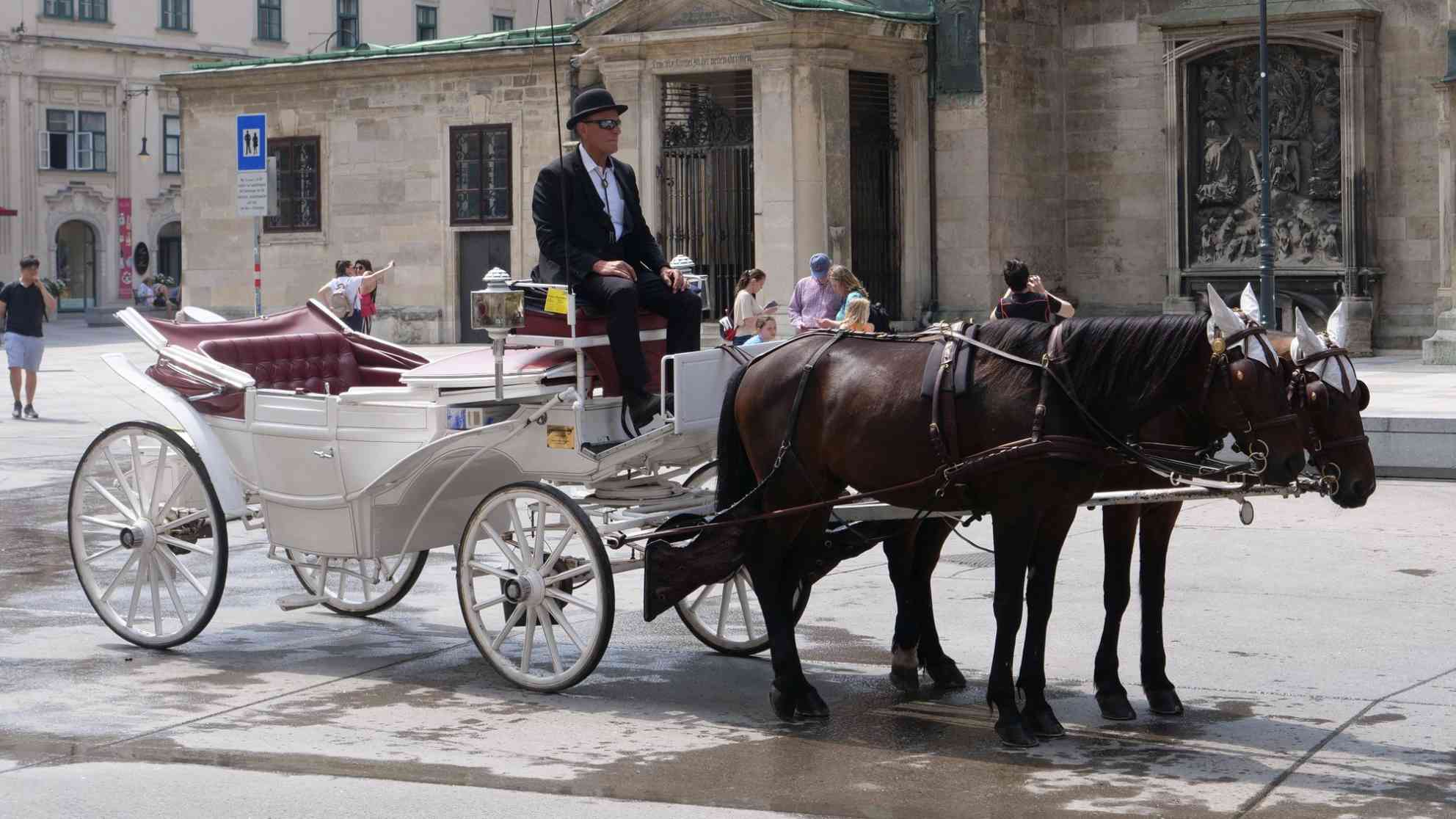 Hochsaison für Fiakerfahrten ist zwar im Sommer und zur Weihnachtszeit – aber auch im Herbst will der eine oder andere Wienbesucher die Stadt nach alter Tradition erkunden.Foto: BR | Vera Gasber
