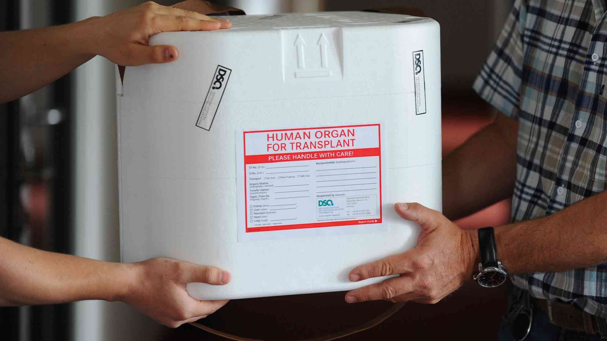 ILLUSTRATION - Eine Organtransportbox wird am Dienstag (29.05.2012) in den Räumen der Deutschen Stiftung Organtransplantation (DSO) in Berlin übergeben. Foto: picture-alliance | dpa