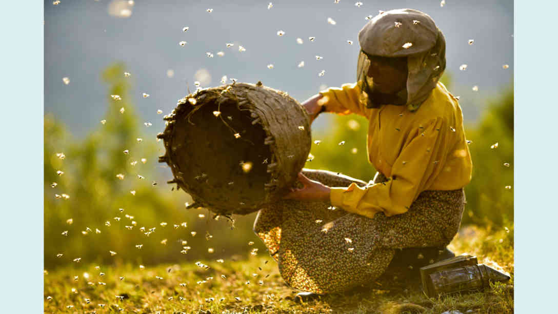 Protagonistin Hatidze Muratova im Film Land des Honigs. Foto: picture alliance/Everett Collection