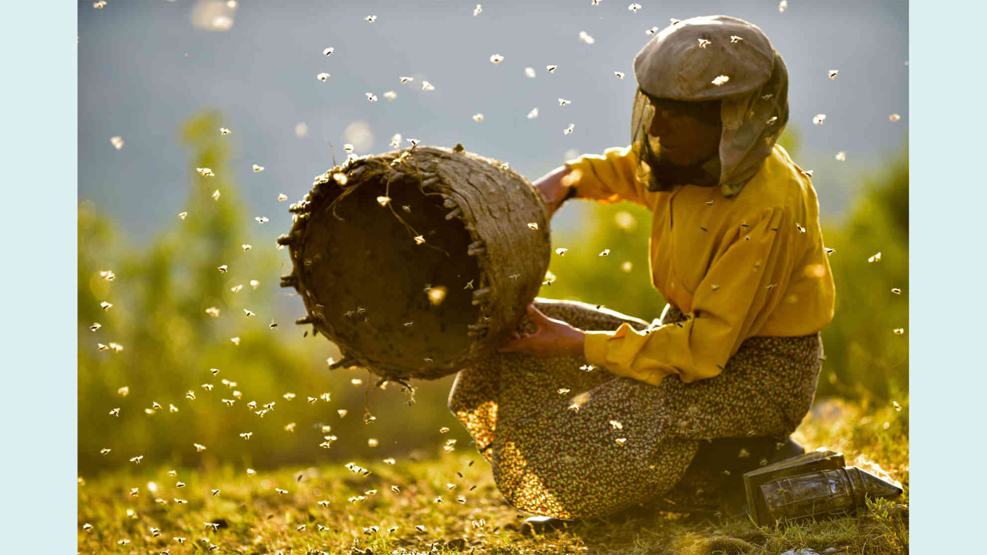 Protagonistin Hatidze Muratova im Film Land des Honigs. Foto: picture alliance/Everett Collection