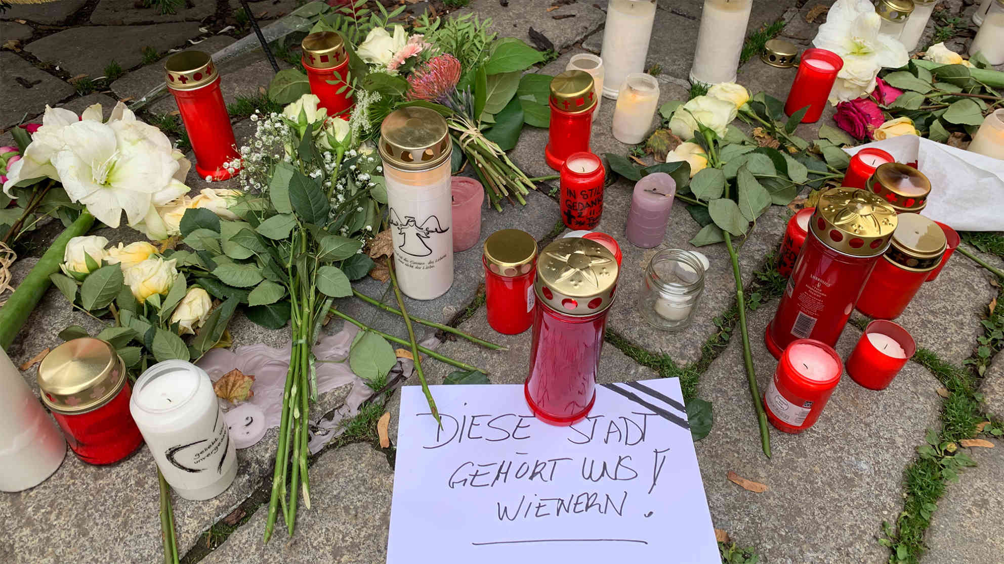 Wien lässt sich nicht unterkriegen. Foto: BR | Yvonne Samsarova