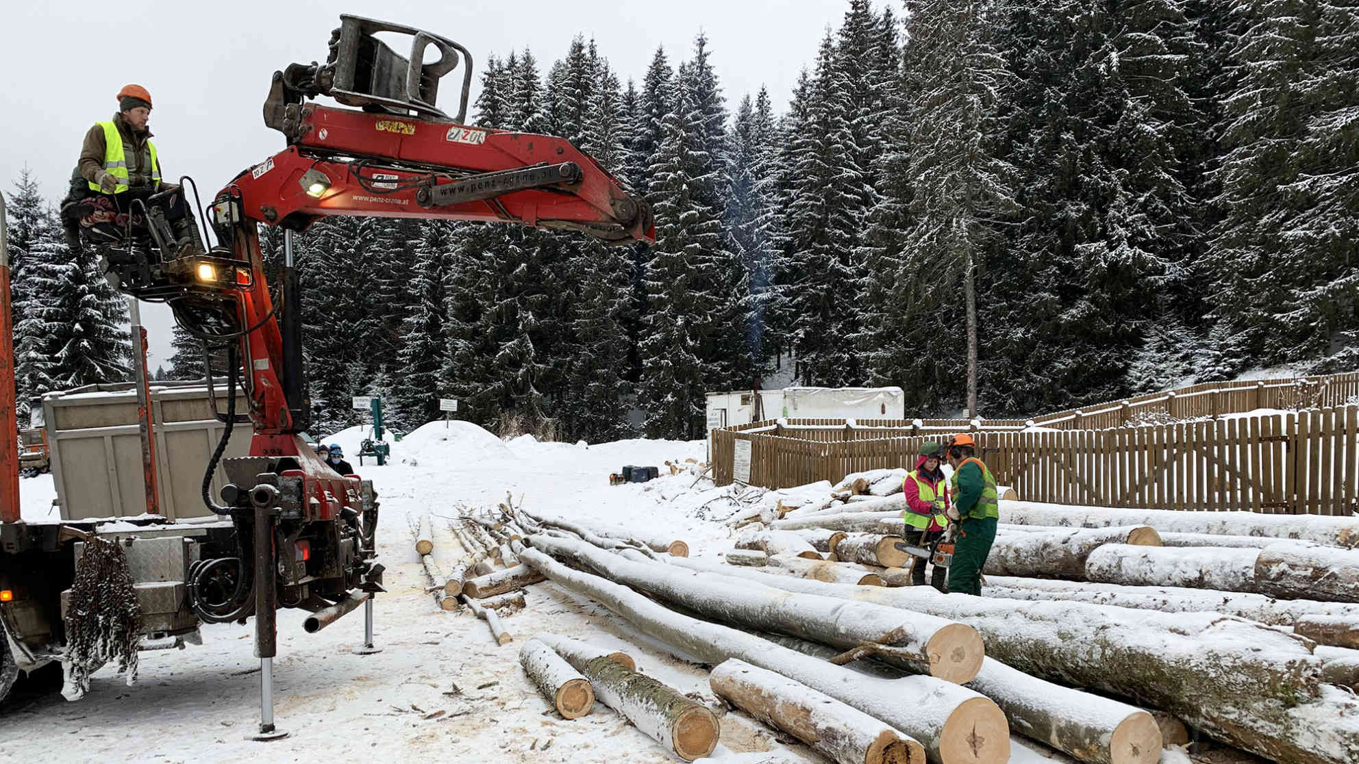 Die Stämme hier wurden angeblich legal gefällt. Fakt ist allerdings, dass in Rumänien jährlich bis zu 20 Millionen Kubikmeter Holz illegal geschlagen werden. Foto: BR | Nikolaus Neumaier