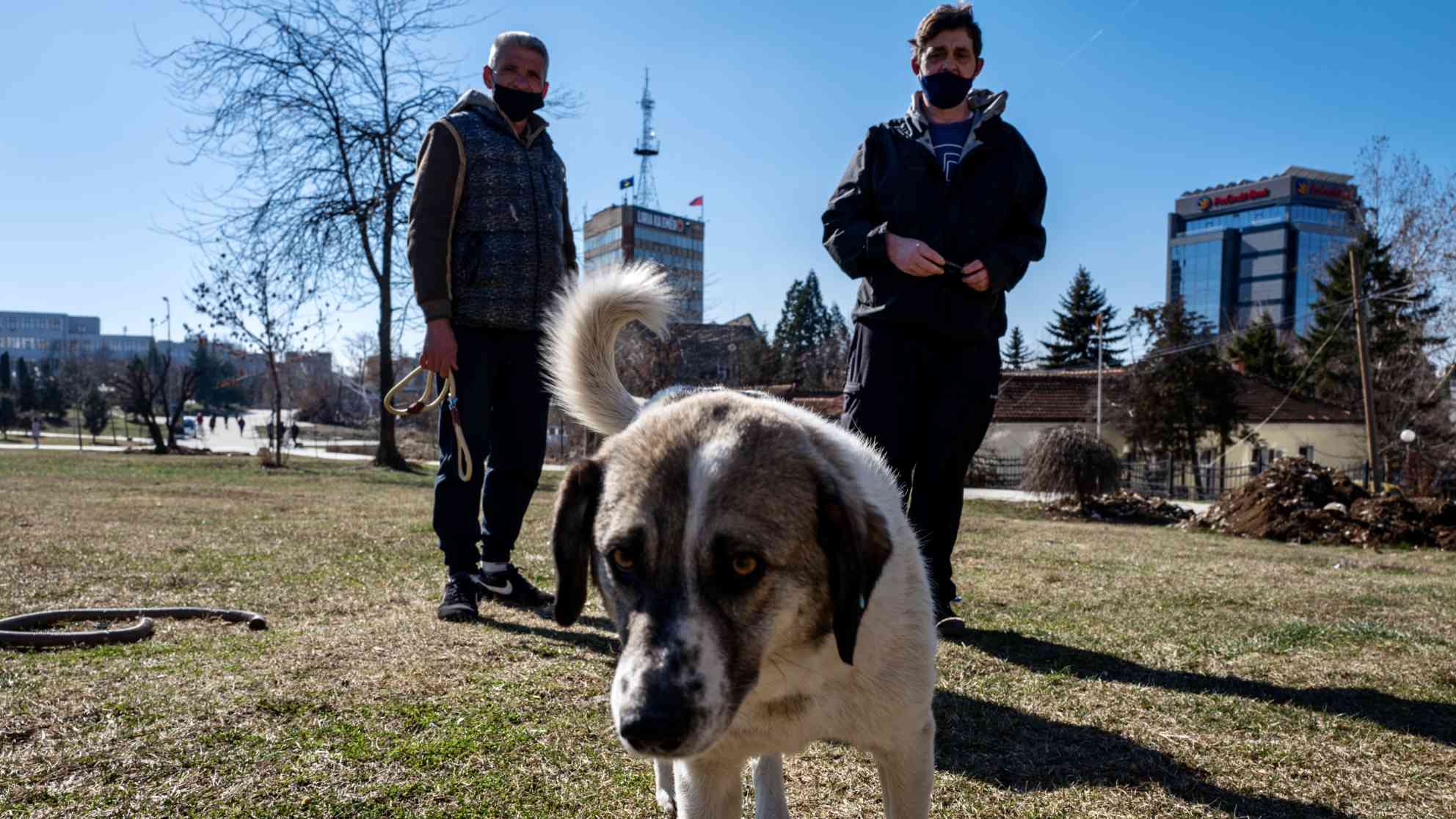 Mentor und Slavisa verbindet die Liebe zu Hunden und eine jahrelange Freundschaft. Foto: BR | Srdjan Govedarica