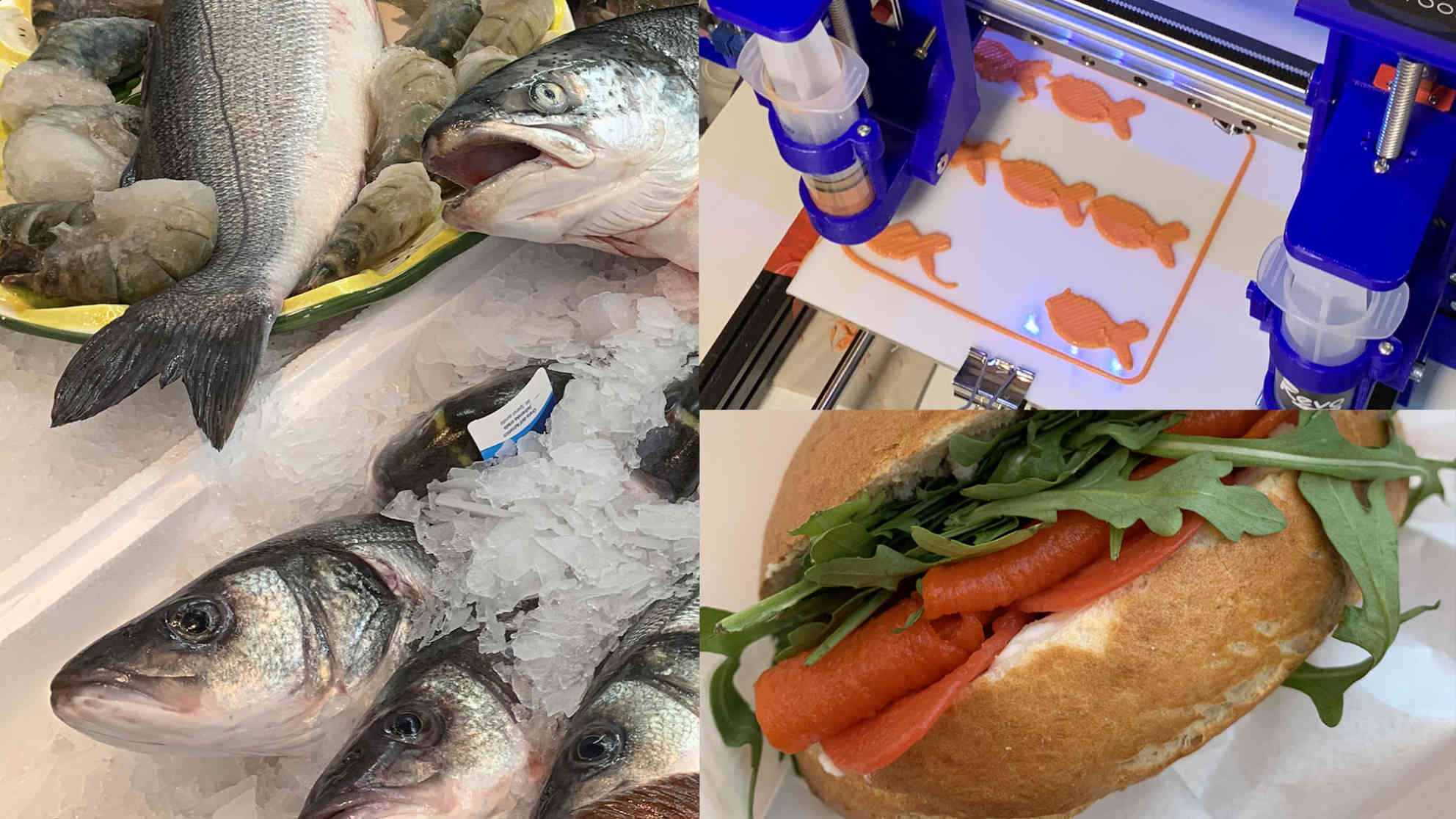 Kann der Lachs aus dem 3D-Drucker tatsächlich echten Fisch ersetzen? Fotocollage: BR | Karin Straka